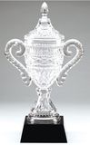 Genuine Glass Engraving Faceted Crystal Cup Award Trophy