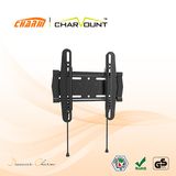 Classic Fixed Bracket TV Wall Mount with Spring Lock (CT-PLB-E611)