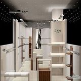 Stainless Steel Shopfitting Design Clothing Store Display Stand/Display Rack
