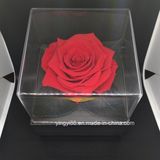 Beautifull Preserved Acrylic Rose Box Flower Box Last Forever