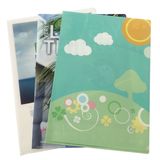 PP Advertisement Printed Promotional L Shape Folder