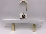 Special Surface Fancy Plastic Clothes Hanger for Men's Garment Brand