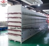 Cold Roll Steel Gondola Supermarket Display Shelving