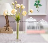 Tall Clear Glass Vases; Clear Cylinder Vases