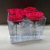 New 36hole Acrylic Flower Display Case