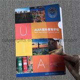 Custom Logo Printed Promotional A4 PP File Folders
