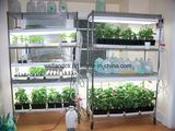 Chrome Adjustable Heavy Duty Greenhouse Storage Wire Shelf Rack