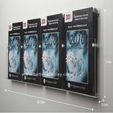 Wall Mount Acrylic Brochure Holders (BTR-H6058)