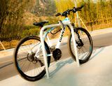 Commercial Metal Bike Storage Racks for Buildings