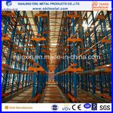 Selective Adjustable Steel Warehouse Radio Shuttle Racking (EBIL-CSHJ)