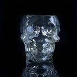 Unique Skull Shaped Glass Candle Holders