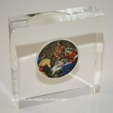 Best Selling Acrylic Coin Paperweight