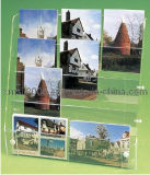 Acrylic Postercard Holder for Display Gds-Ar08)