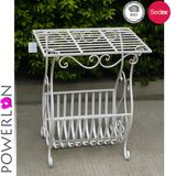 Customized Metal Magazine Display Racks