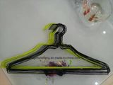 Laundry Using Pet Coated Wire Hanger