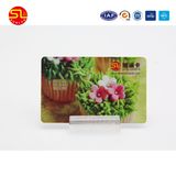 RFID Hotel VIP Membership ID Gift Card with Customization