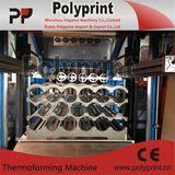 Plastic Dinking Cup Making Machine
