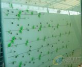 Tempered Glass for Building and Furniture with ISO and CCC