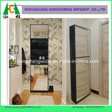 Mirroed Shoe Cabinet