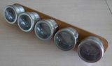 Stainless Steel Magnetic Spice Rack (CL1Z-J0604-5A)