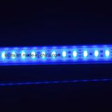 Charming City Color 5050 IP65 Wall Wash LED Light Bar