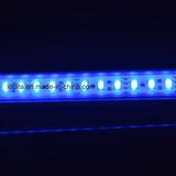 Charming City Color 5050 IP65 Wall Wash LED Light Bar