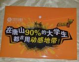 Custom Printing PP Document Bag