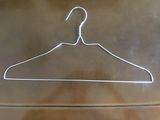 Pet Coated Wire Hanger with The Best Price