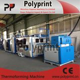 PS Cup Making Machine (PPTF-70T)