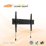 Ultra Slim TV Wall Mount (CT-PLB-LA112B)