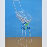Floor Standing Steel Wire Leaflet Basket Holder Rack (PHC315)