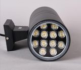 IP65 Outdoor LED Wall Sconce/LED Wall Mounted Light, LED Decorative Light, 3W-48W