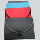Customized Expanding File with Handle and Button