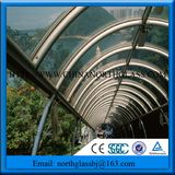 Guaranteed Safe Curved Skylight Clear Toughened Glass