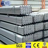 Equal & Unequal Steel Angle Bar Made for Goods Shelf
