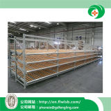 Customized Steel Medium Duty Storage Rack for Warehouse